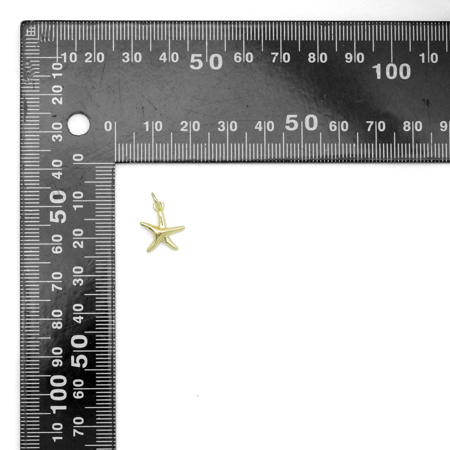 Starfish Charm