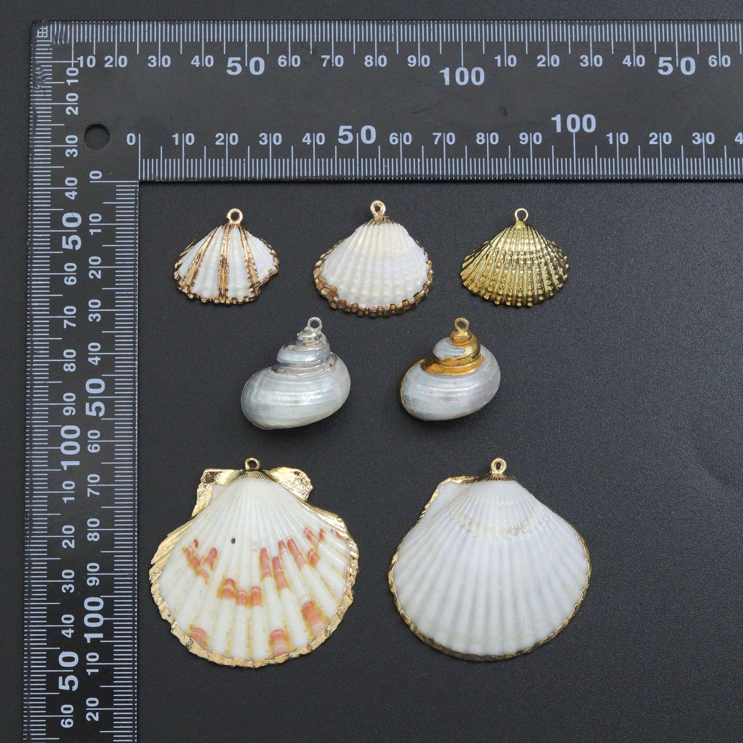 Seashell charm, white with triple gold line