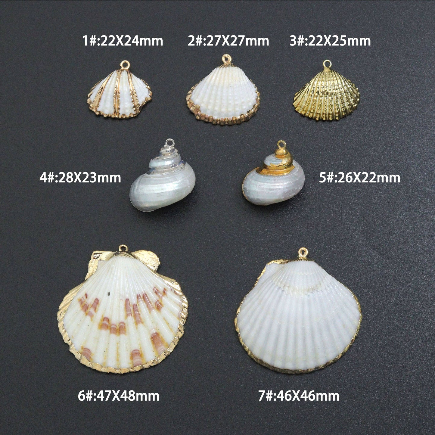 Seashell charm, white with triple gold line