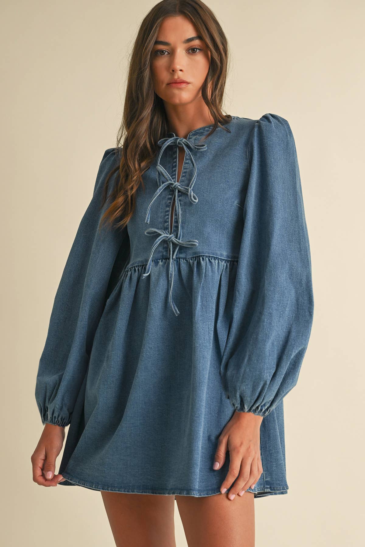 Pretty In Denim Dress