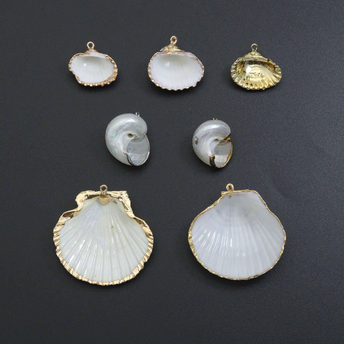 Seashell charm, white with triple gold line