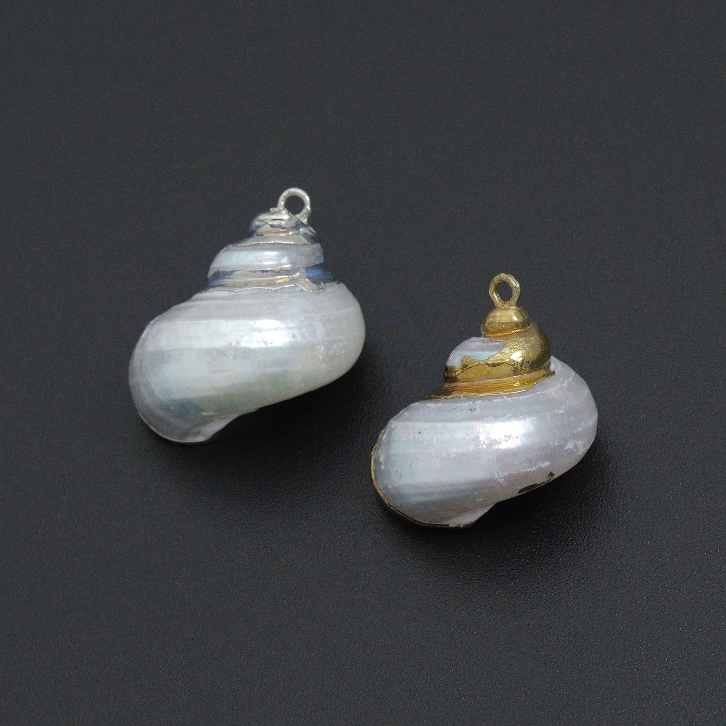 Seashell charm, white with triple gold line