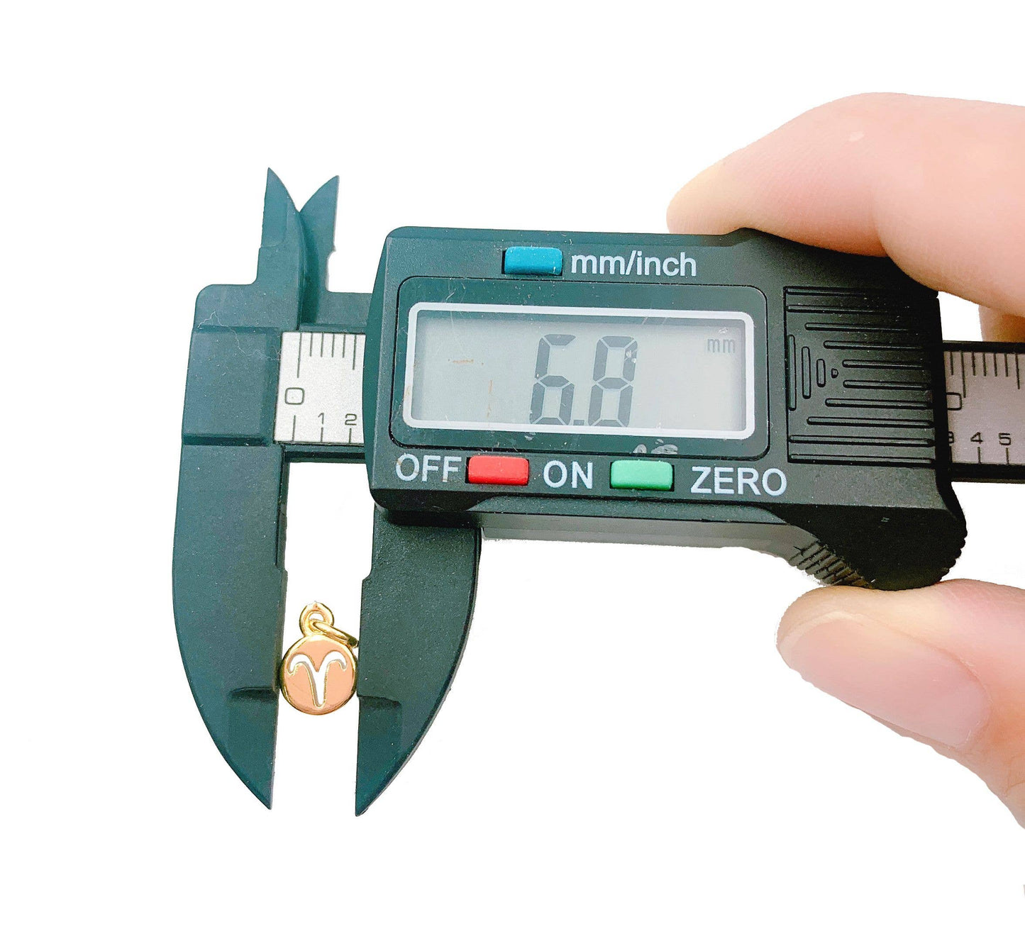 Zodiac Sign Horoscope Charm