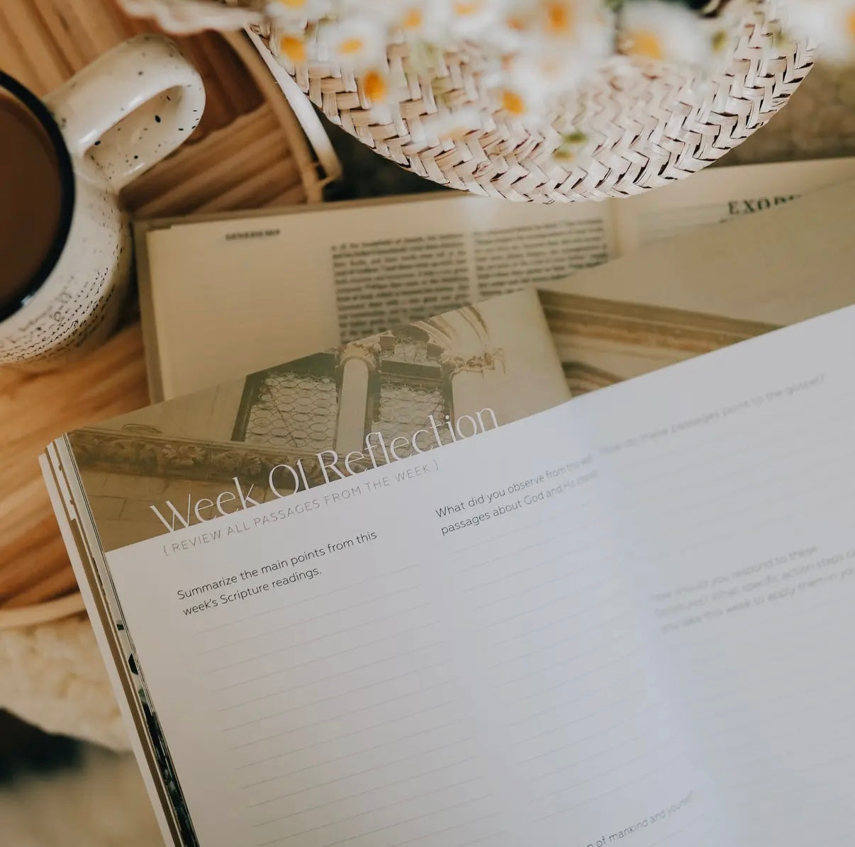 Journey to Freedom Bible Study