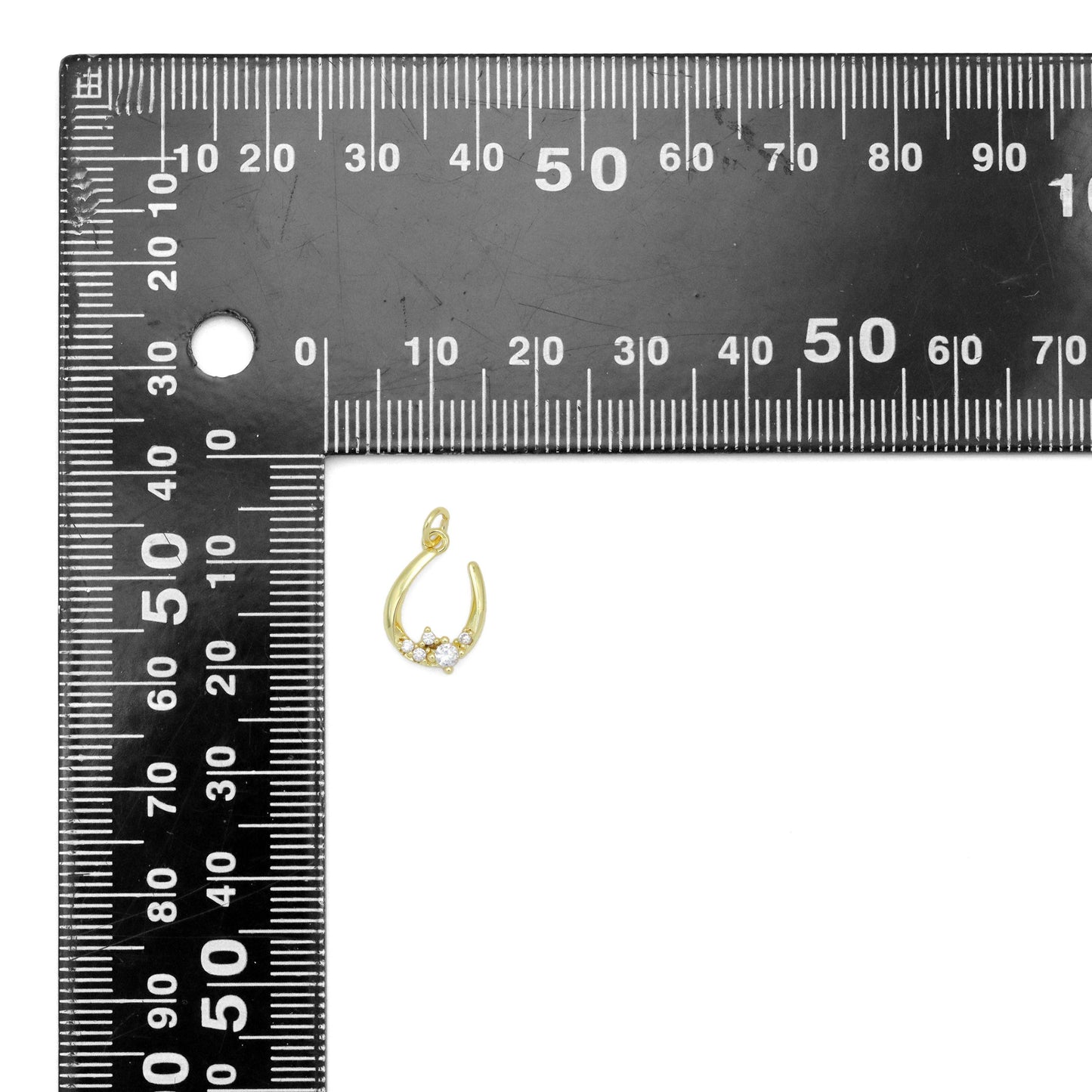 Horse Shoe Charm