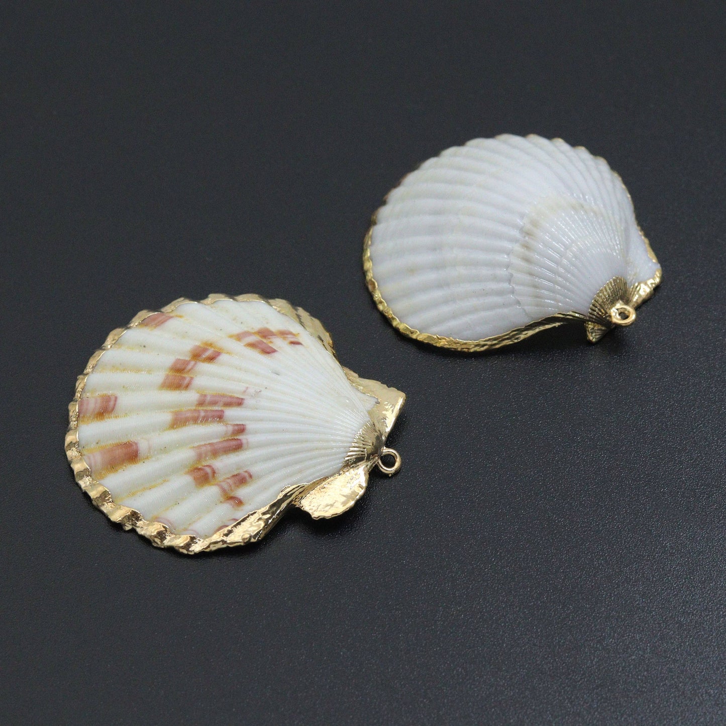 Seashell charm, white with triple gold line