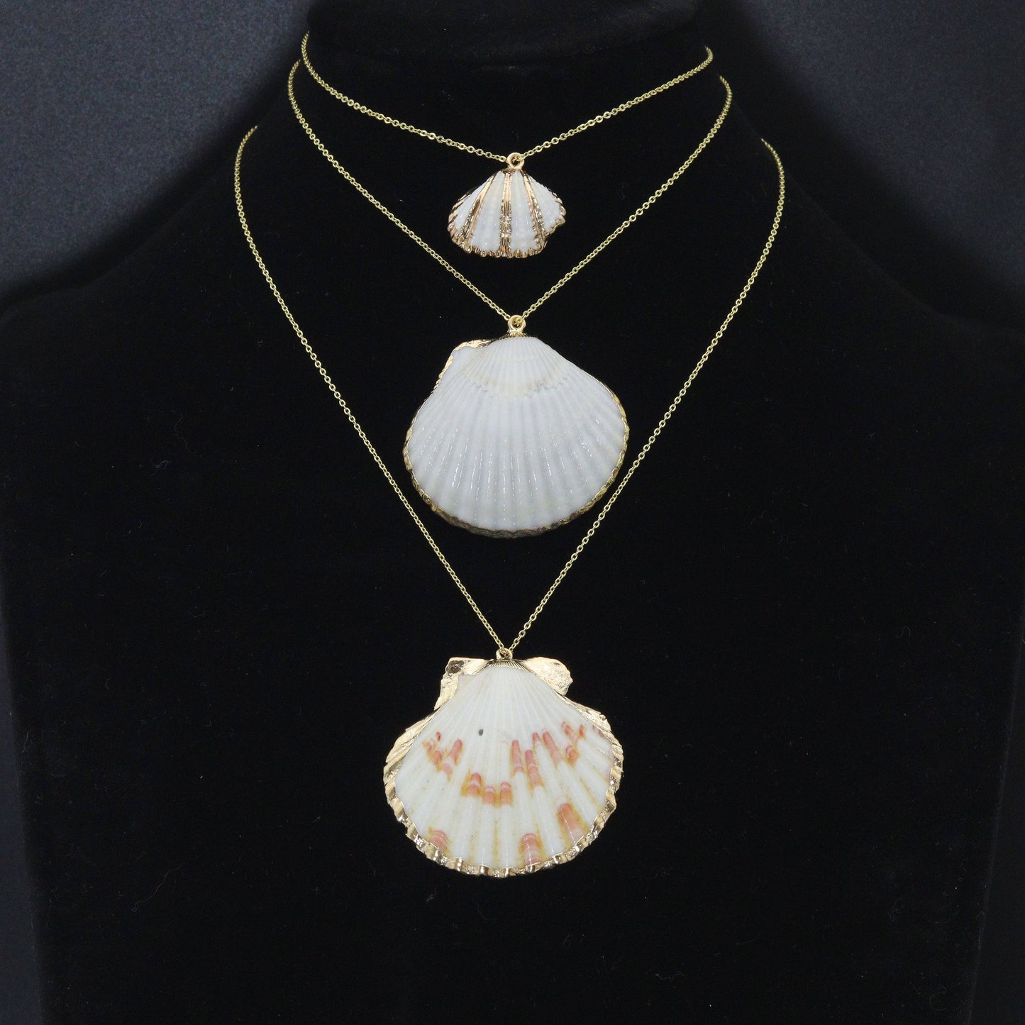 Seashell charm, white with triple gold line