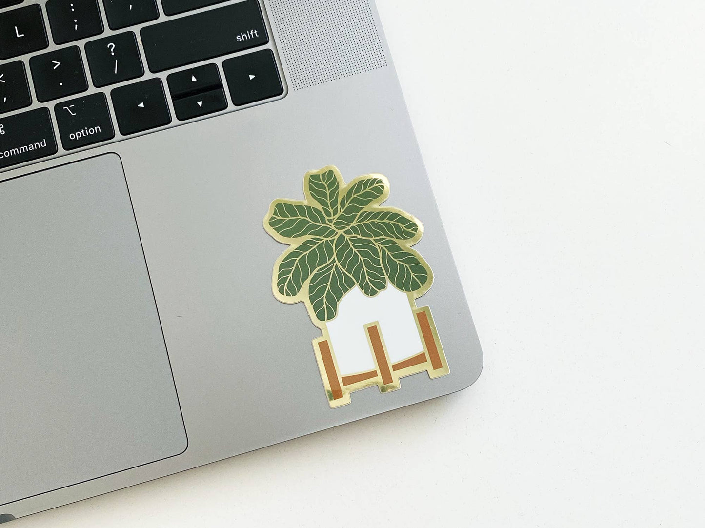Fiddle Leaf Sticker