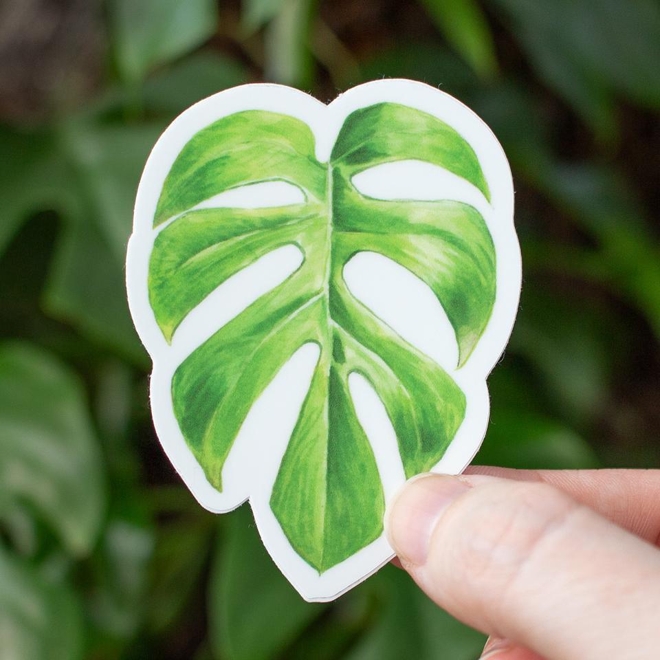 Mini Monstera Sticker