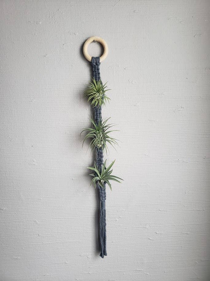 Air Plant Hanger Triple - Grey