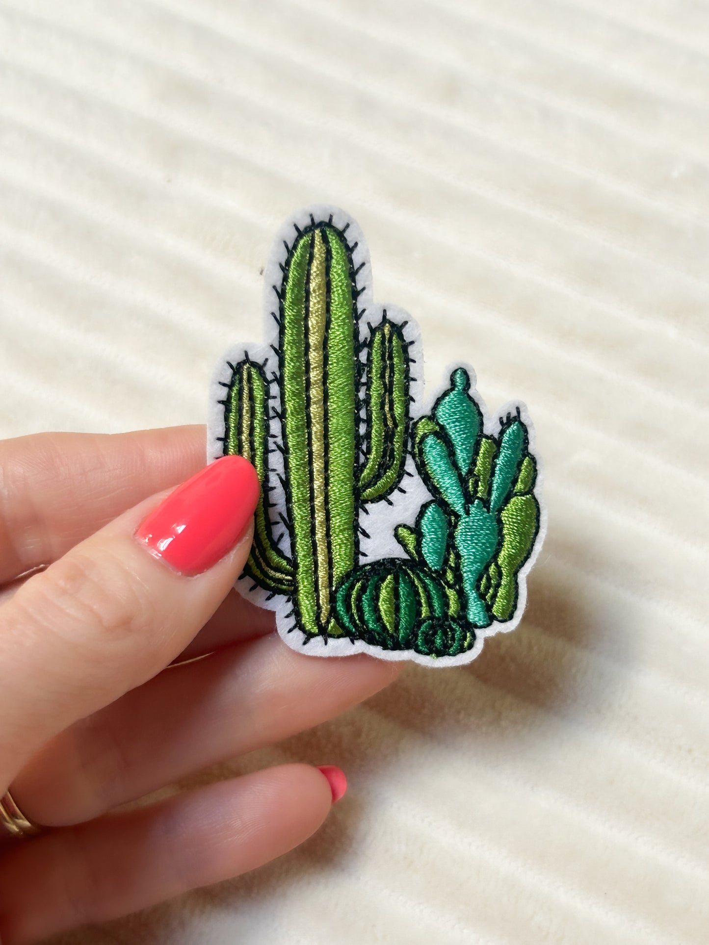 Various cactus patch