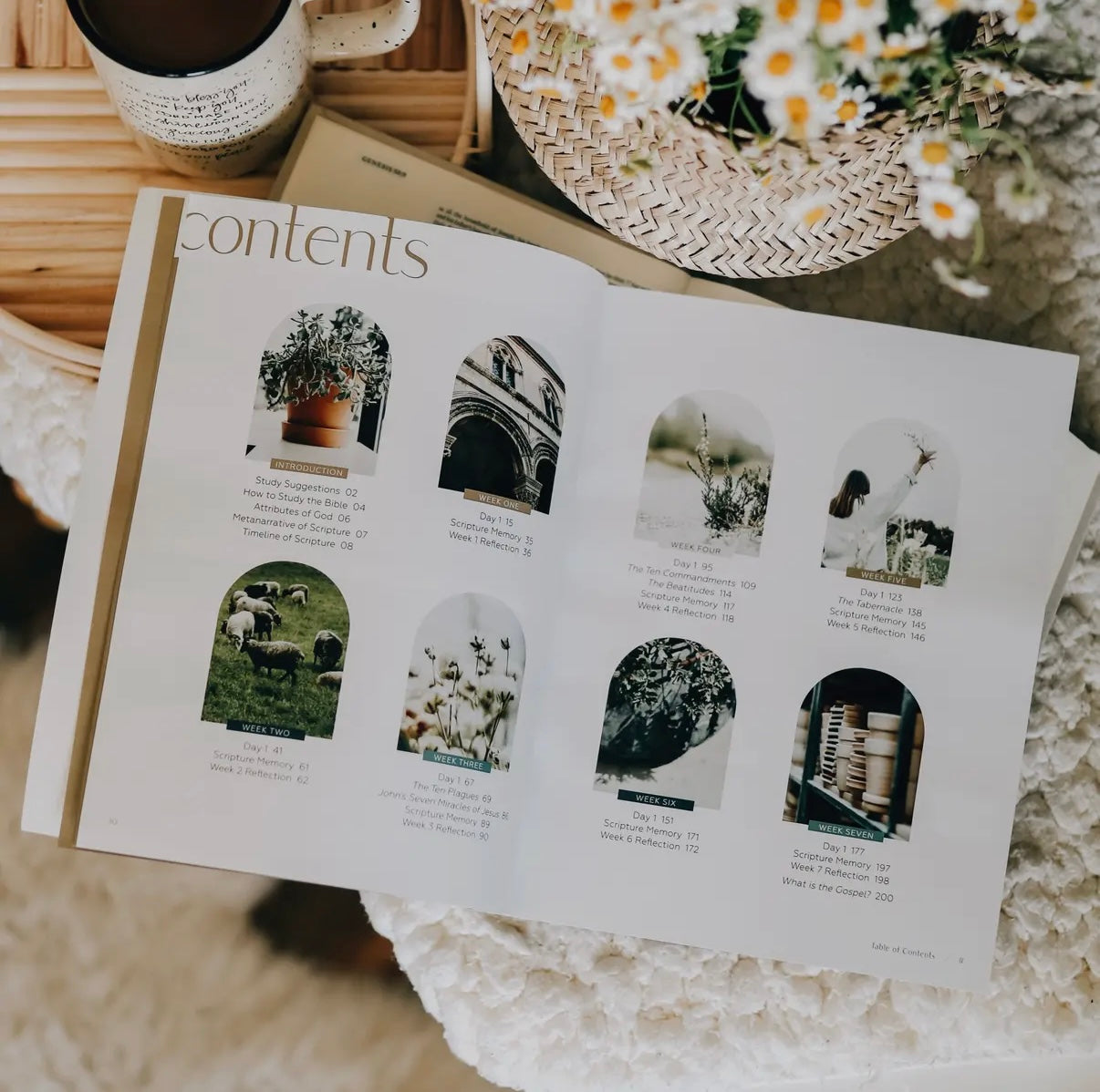 Journey to Freedom Bible Study