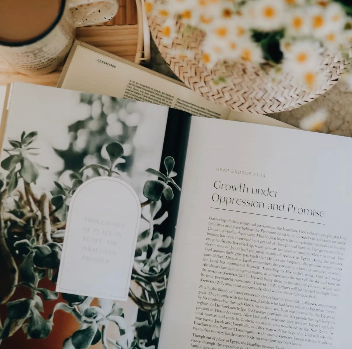 Journey to Freedom Bible Study