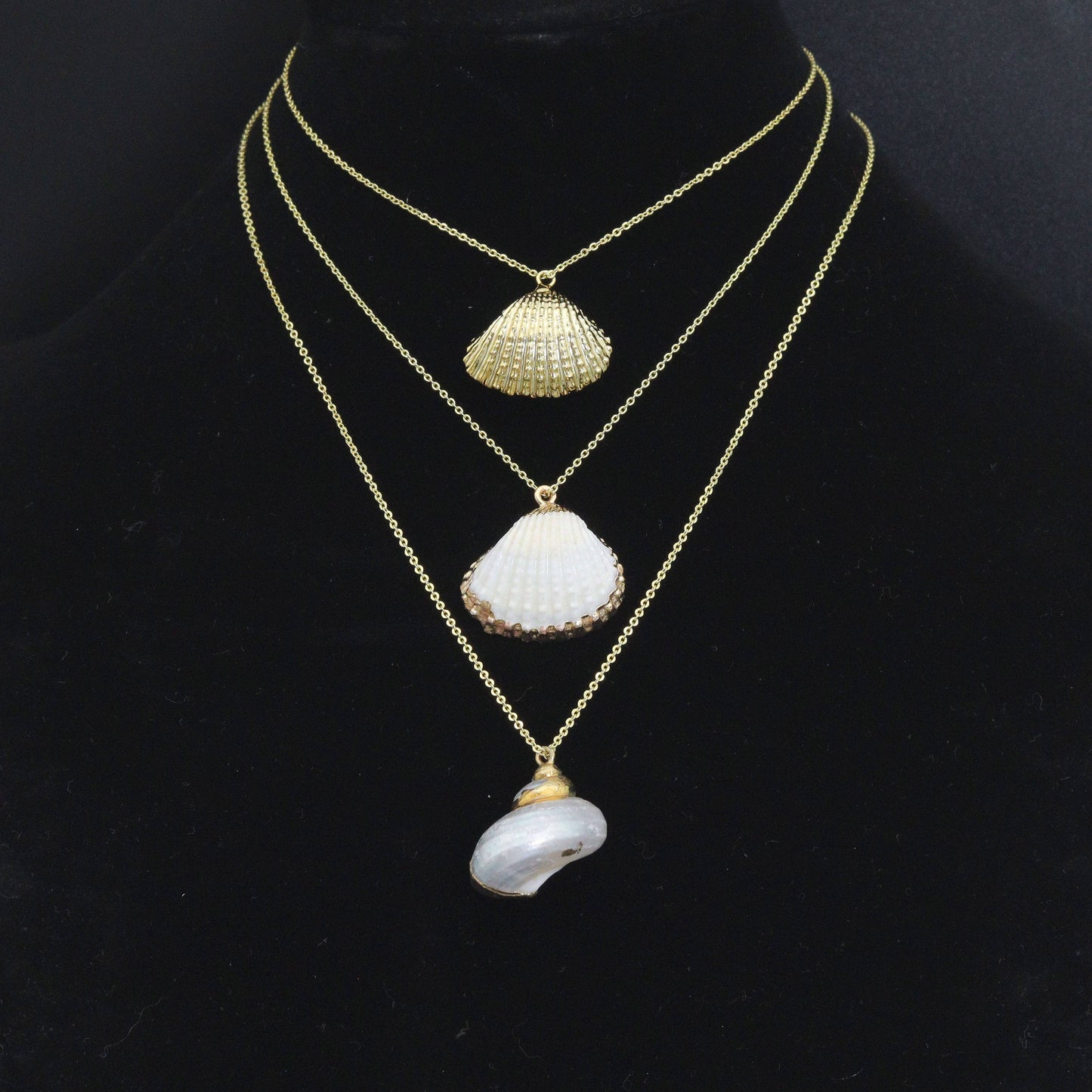 Seashell charm, white with triple gold line