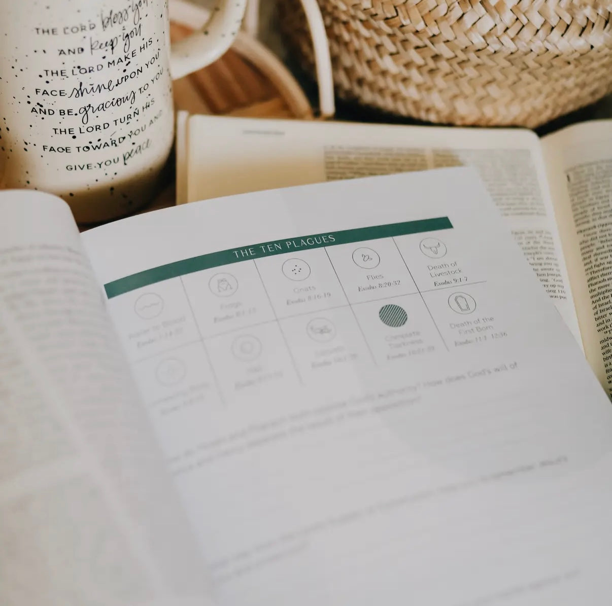 Journey to Freedom Bible Study