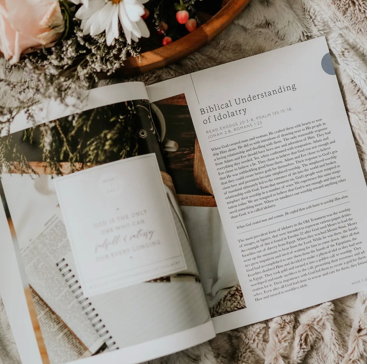 More Than Anything Bible Study