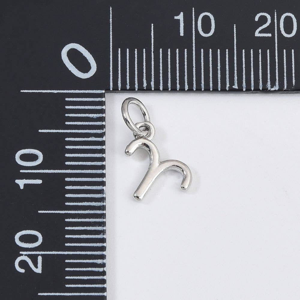 Zodiac Sign Horoscope Charm- Silver