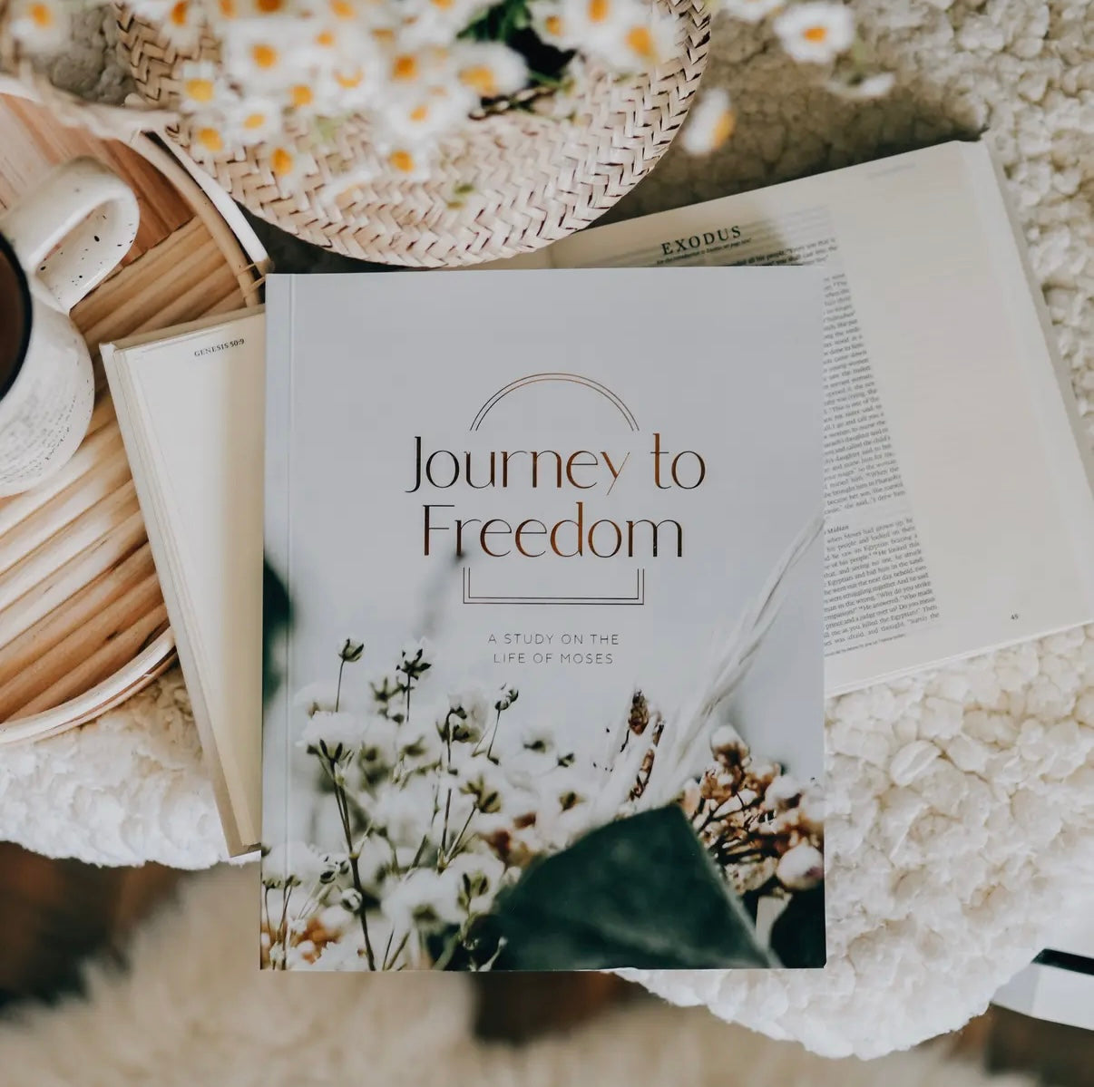 Journey to Freedom Bible Study