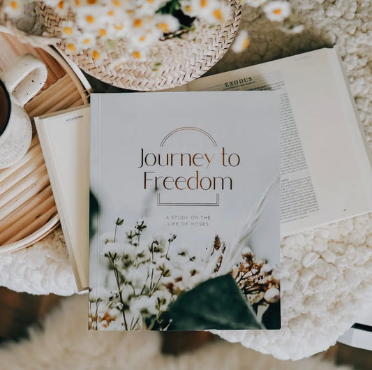 Journey to Freedom Bible Study