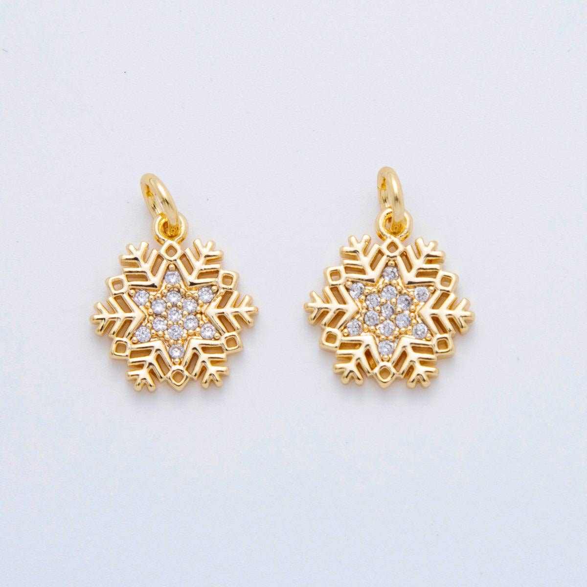 Snowflakes Charm
