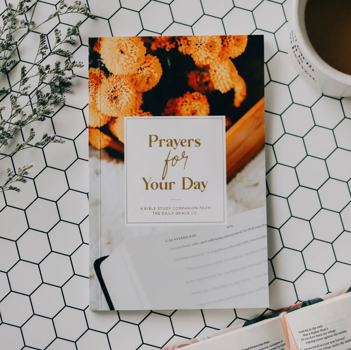 Prayers For Your Day Bible Study