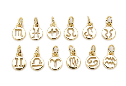 Zodiac Sign Horoscope Charm