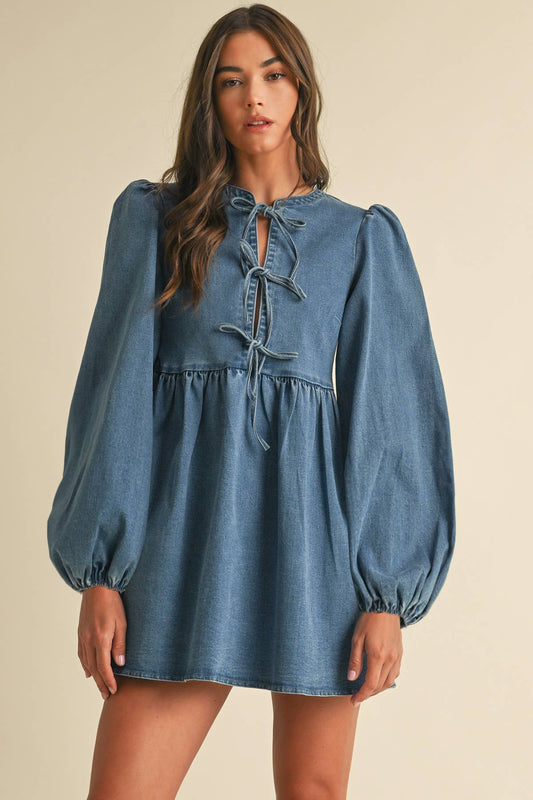 Pretty In Denim Dress